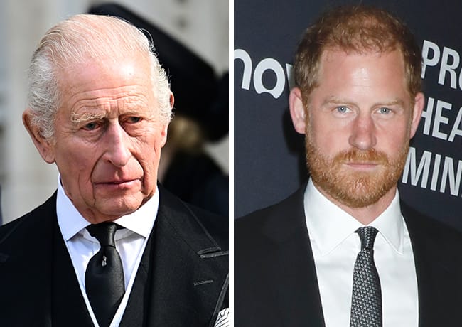 King Charles and Prince Harry