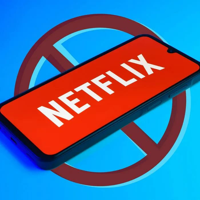 Fans Are 'So Upset' After Netflix Cancels 8 Fan-Favorite TV Shows: 'They  Only Cancel The Good Ones' - SHEfinds