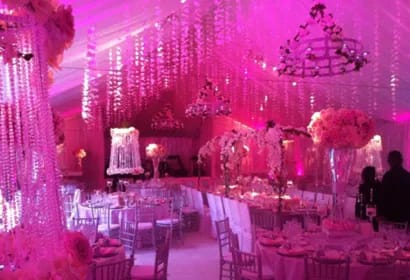 Pandora Vanderpump in a stunning wedding gown at her celebration.
