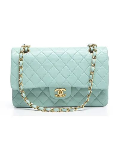 Chanel Mint Green Lambskin Medium Double Flap Bag Image from SHEfinds