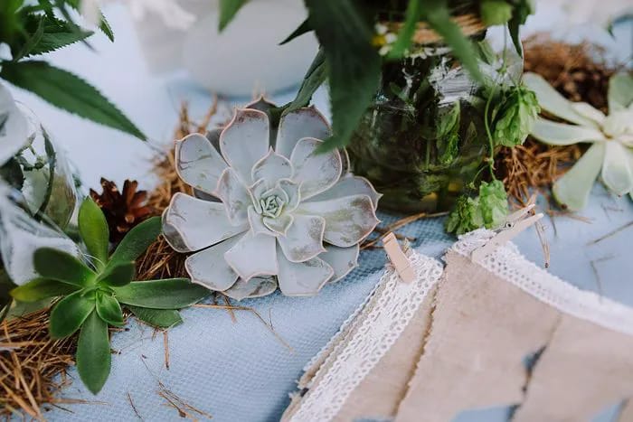 Rustic Centerpieces. Image from SHEfinds