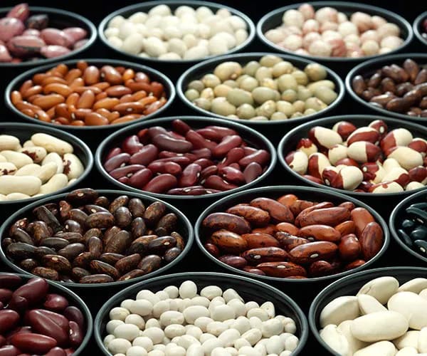 Beans beans