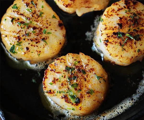 scallops