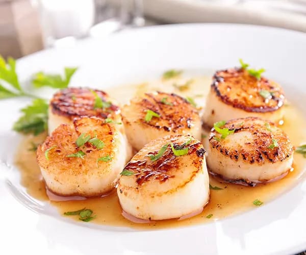scallops