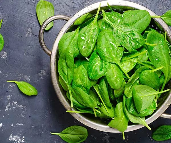 Spinach spinach