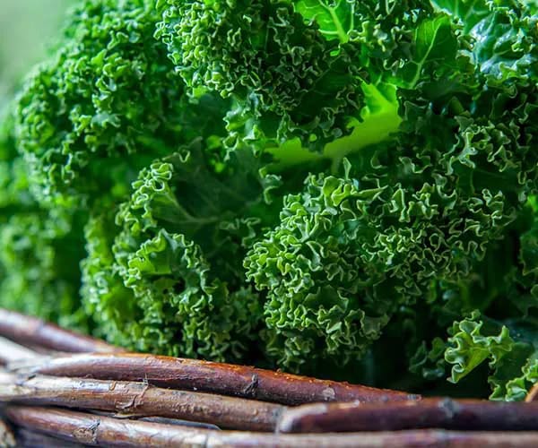 Kale
