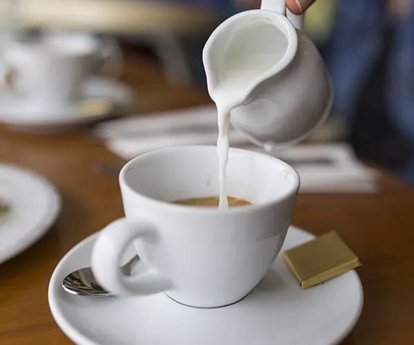 Flavored Creamer Flavored Creamer