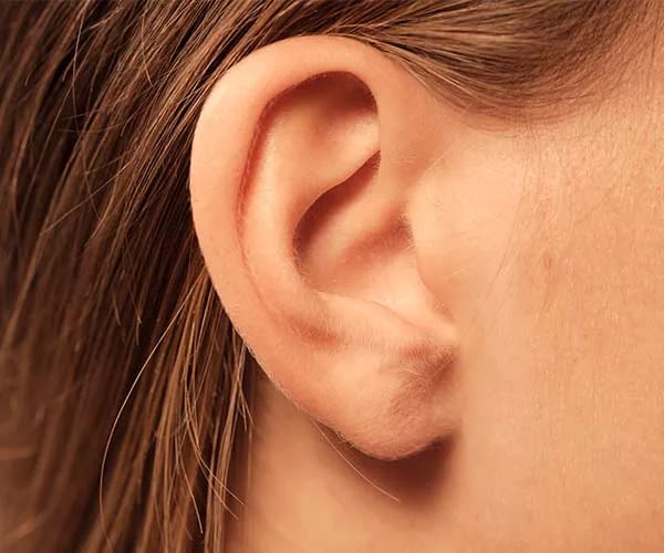 ear