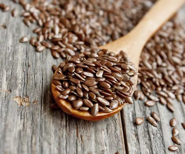 Flax Seeds flax seeds