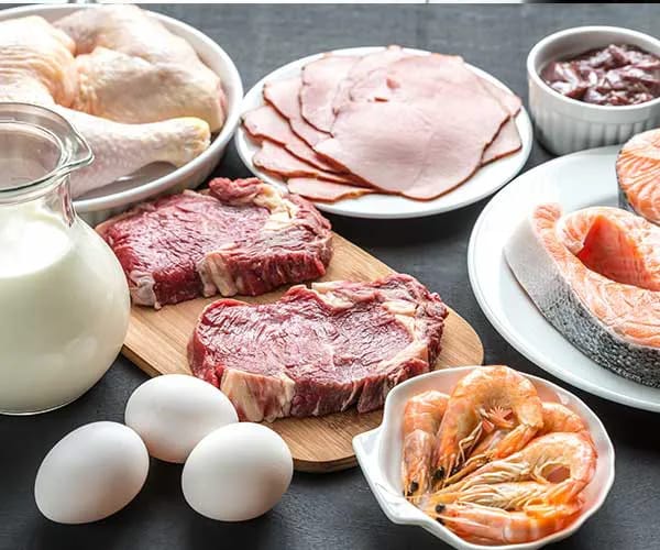 protein meats