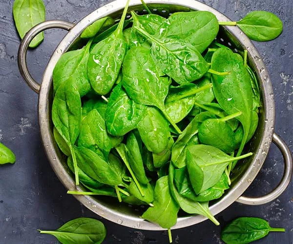 Spinach spinach