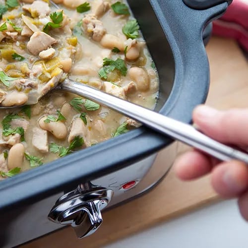 "Tender slow-cooked chicken ready to serve"
