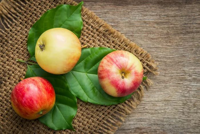worst foods that slow metabolism