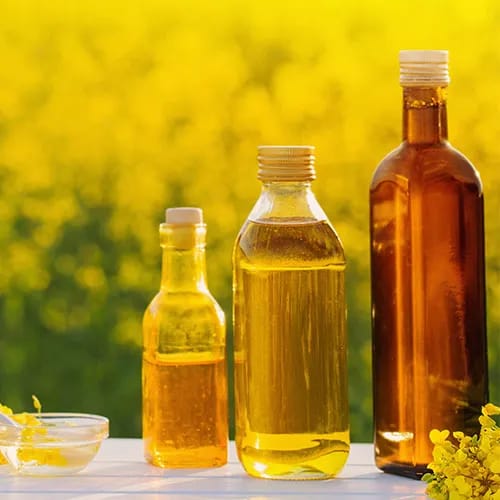 canola oil worst healthy fat metabolism