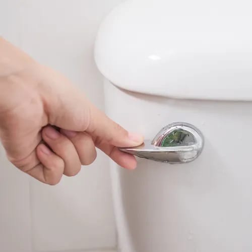 flushing toilet