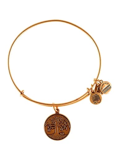 Expandable Wire Bracelet