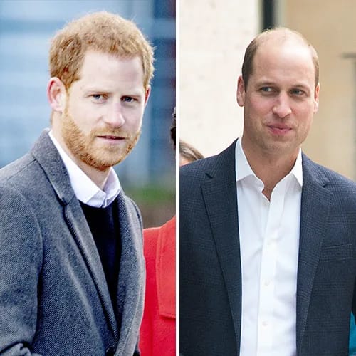 prince harry prince william heartbreaking secret royal family