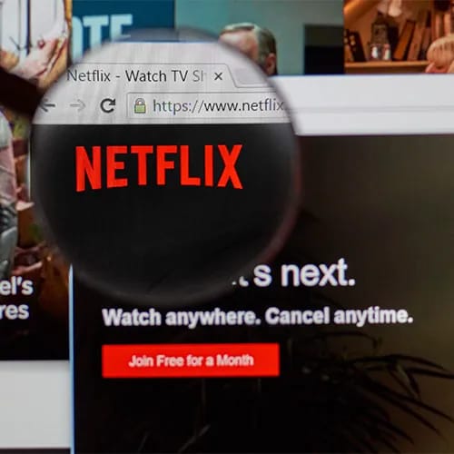 netflix streaming service password save security