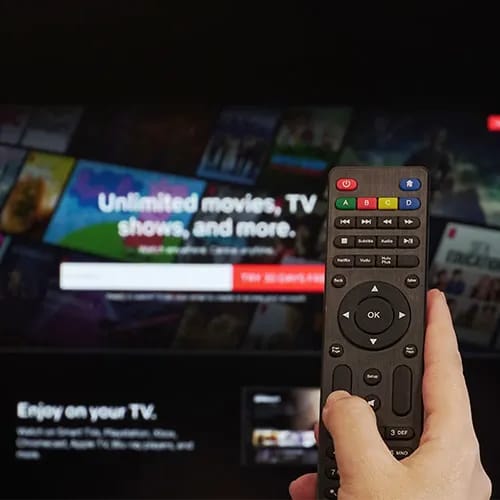 netflix streaming service password save security