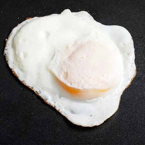 egg