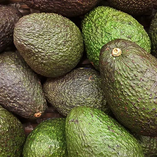 avocado