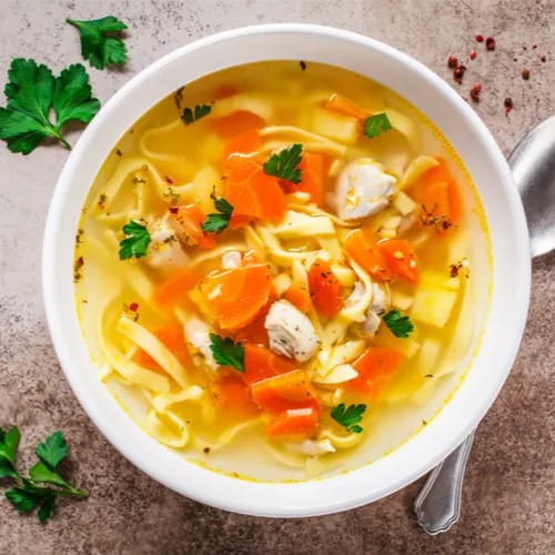 chicken noodle soup