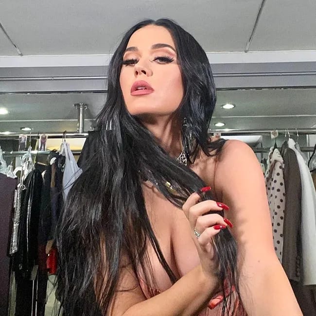 Katy Perry posing confidently in a stunning outfit.