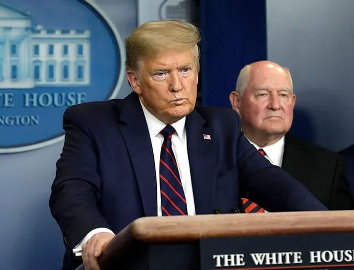 Donald Trump 2020