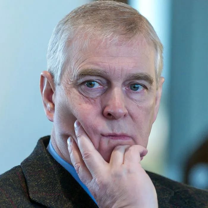 Prince Andrew posing for a portrait.