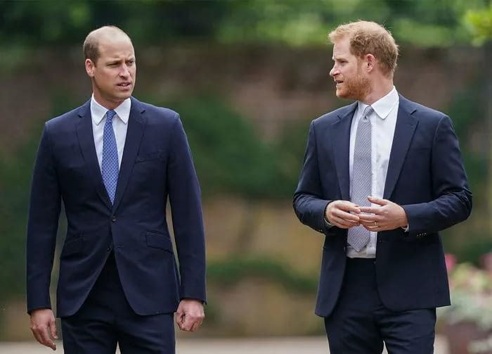 Prince Harry and Prince William Princess Diana statue unveiling