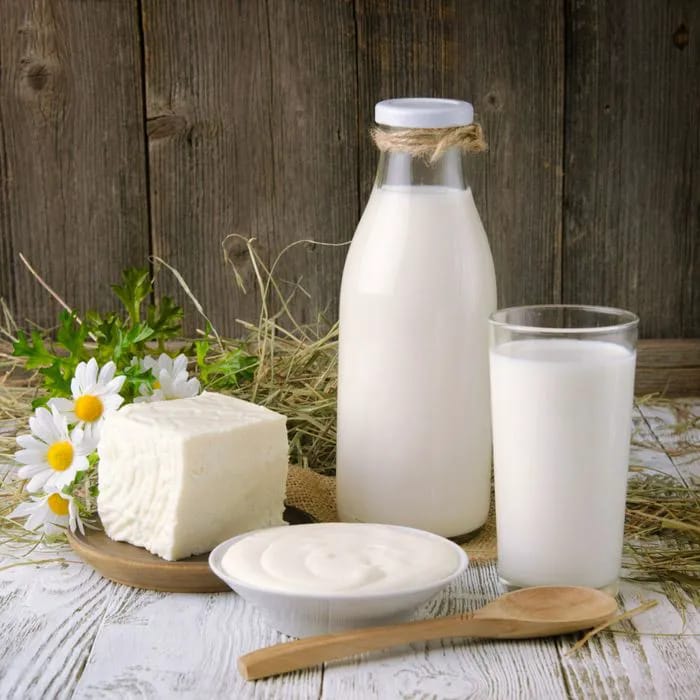dairy products