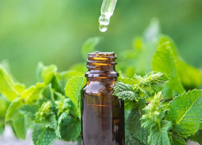 peppermint-oil