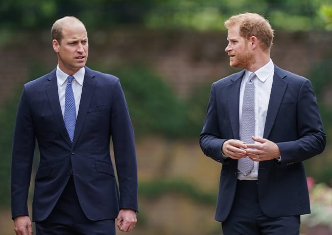 Prince Harry and Prince William unveiling Princess Diana statue