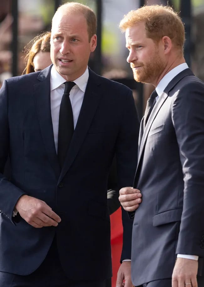Prince Harry and Prince William