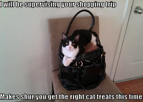 Image from SHEfinds