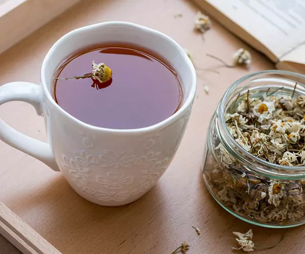 Green Tea hot drinks for digestion