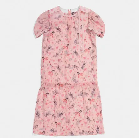 coach x baseman secret order roundneck dress Image from SHEfinds