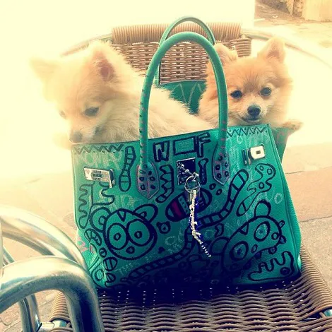 Image from SHEfinds