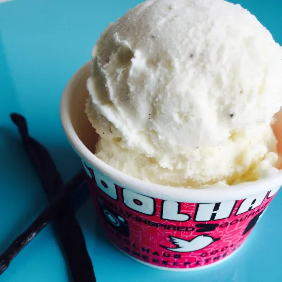 tahitian-vanilla-salt-cookhaus-0615_sq
