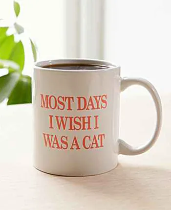 Image from SHEfinds
