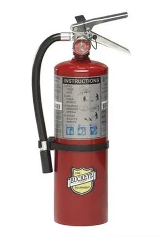 Fire Extinguisher Celebrity beauty look with glamorous makeup.
