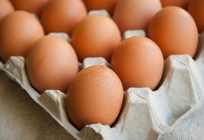Egg Treatment