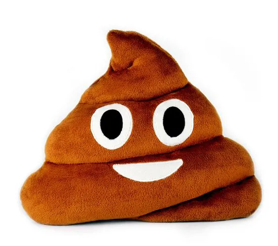Playful emoji poop pillow for home decor.