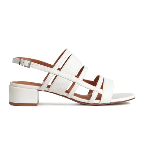 Image from SHEfinds