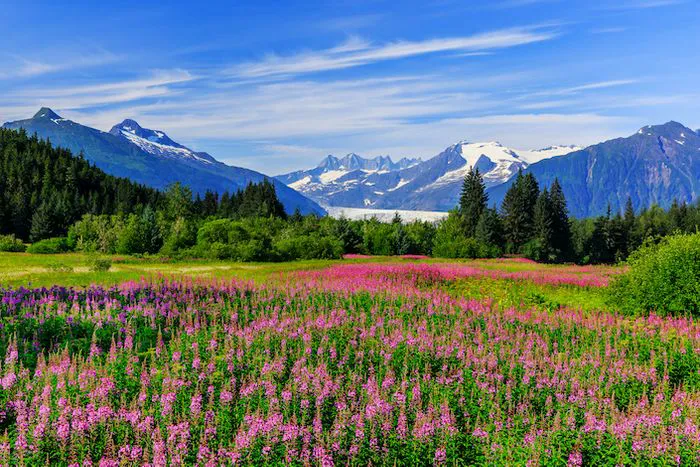 Alaska Image from SHEfinds
