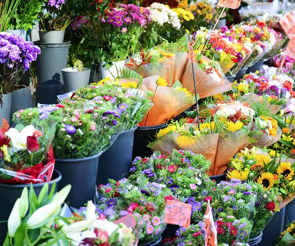 Cut Flowers Image from SHEfinds