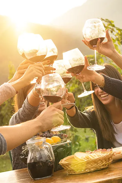 1. Don't: Go it alone. Friends Cheers The Wine