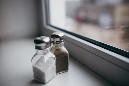 Salt Shaker