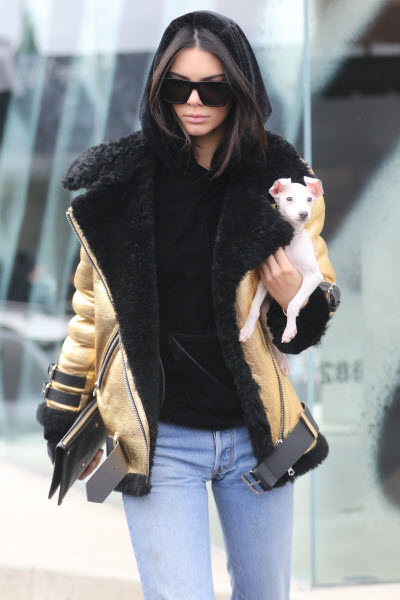 Kendall Jenner hoodie coat