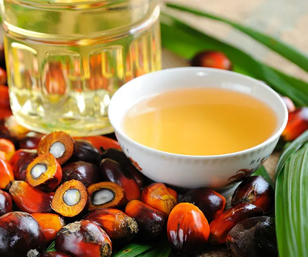 Palm oil